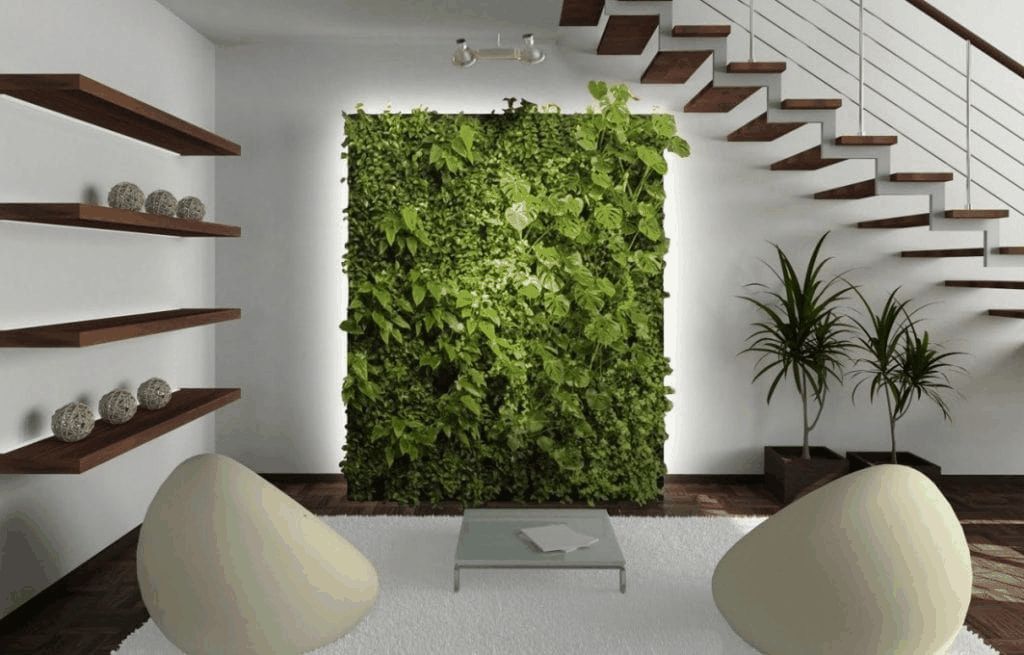 phong cách nội thất eco